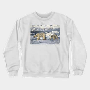 Polar Bear & Cub Walking on the Tundra, Churchill, Canada Crewneck Sweatshirt